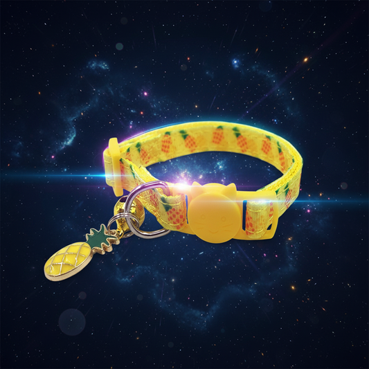 Collar gatos cascabel real futurista